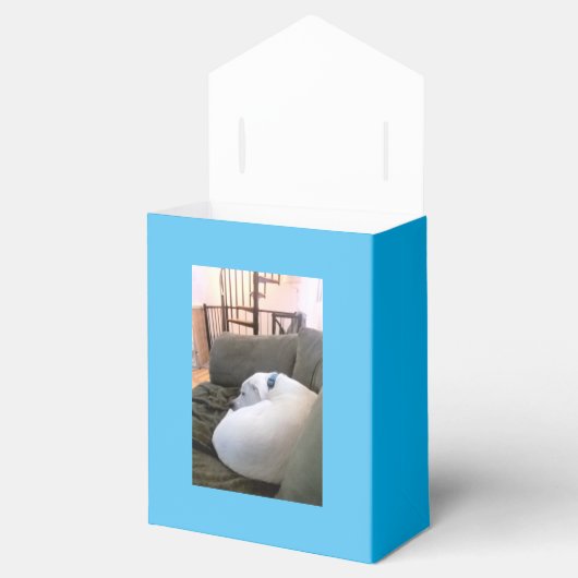 Cute White Puppy Dog Sleeping Slumber Party Blue Bedankdoosjes (Geopend)