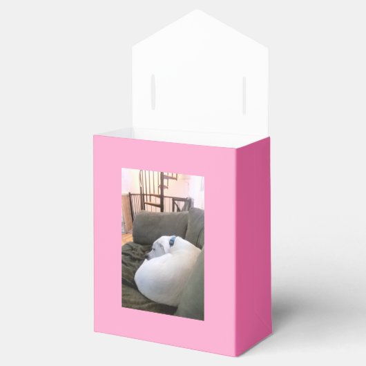 Cute White Puppy Dog Sleeping Slumber Party Roze Bedankdoosjes (Geopend)