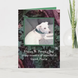 Cute White Puppy Dog St. Patrick's Day Green Kaart