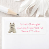 Cute White Puppy Dog West Highland Terrier Etiket (Insitu)