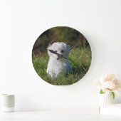 Cute white puppy grote klok (Huis)