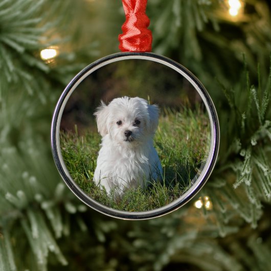Cute white puppy metalen ornament (Boom)