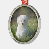 Cute white puppy metalen ornament (Links)
