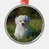 Cute white puppy metalen ornament (Voorkant)