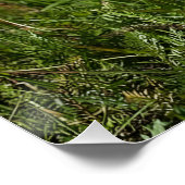 Cute white puppy perfect poster (Hoek)