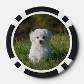 Cute white puppy poker chips (Achterkant)