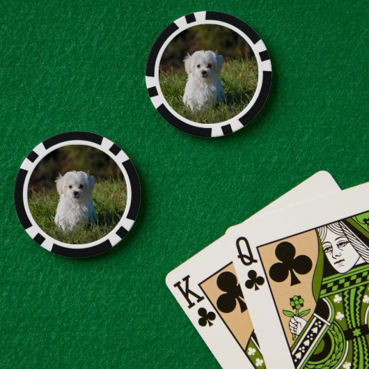 Cute white puppy poker chips (Pokertafel (Dubbel))