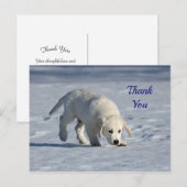 Cute White Puppy Snow Foto Hartelijk dank Briefkaart (Voorkant / Achterkant)