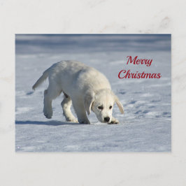 Cute White Puppy Snow-kerstfoto Briefkaart