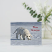 Cute White Puppy Snow-kerstfoto Briefkaart (Staand voorkant)