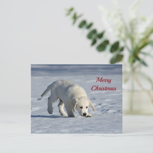Cute White Puppy Snow-kerstfoto Briefkaart (Staand voorkant)