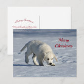 Cute White Puppy Snow-kerstfoto Briefkaart (Voorkant / Achterkant)