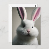 Cute White Rabbit Briefkaart (Voorkant / Achterkant)
