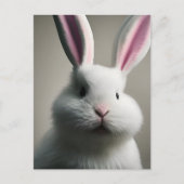 Cute White Rabbit Briefkaart (Voorkant)