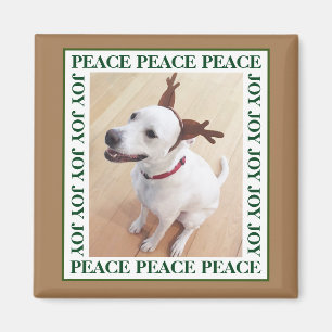 Cute White Reindeer Puppy Dog Peace Joy Brown Magneet