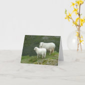 Cute White Sheep, North Wales, UK Kaart (Gele Bloem)