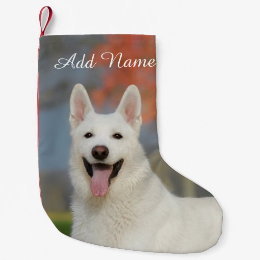 Cute White Swiss Shepherd Dog Foto - Name Kleine Kerstsok (Voorkant)