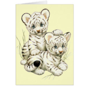 Cute White Tiger Cubs