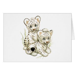 Cute White Tiger Cubs