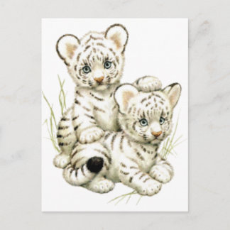 Cute White Tiger Cubs Briefkaart