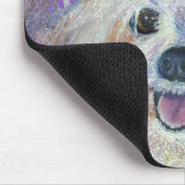 CUTE WHITE YORKIE MIX MUISMAT (Hoek)