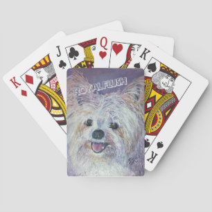 CUTE WHITE YORKIE MIX POKERKAARTEN
