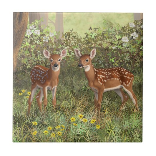Cute Whitetail Deer Twin Fawns Tegeltje (Voorkant)