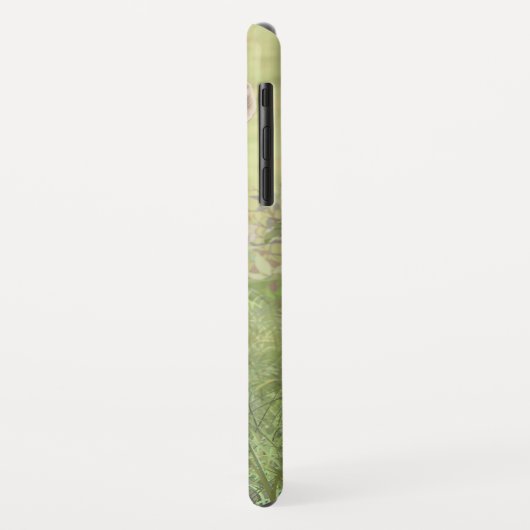 Cute Whitetail Fawn Case-Mate iPhone Case (Achterkant/links)