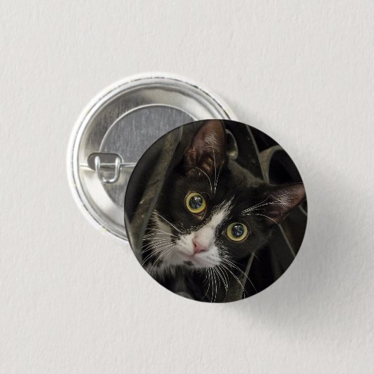 Cute Wide-Eyed Tuxedo Cat Face Ronde Button 3,2 Cm (Voorkant /achterkant)