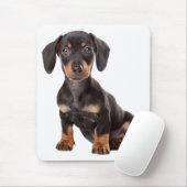Cute Wiener Dog Doxin Lover Gift Dog mam Dachshund Muismat (Met muis)