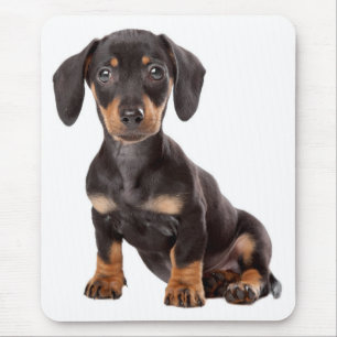 Cute Wiener Dog Doxin Lover Gift Dog mam Dachshund Muismat