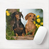 Cute Wiener Hondenliefhebbers Doxin Puppy Dachshun Muismat (Met muis)