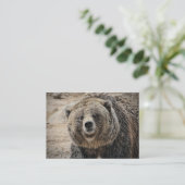 Cute Wild Animal Grizzly Beer Face Visitekaartje (Staand voorkant)