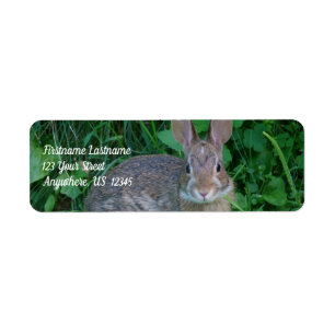 Cute Wild Brown Rabbit Wildlife Adres Etiket