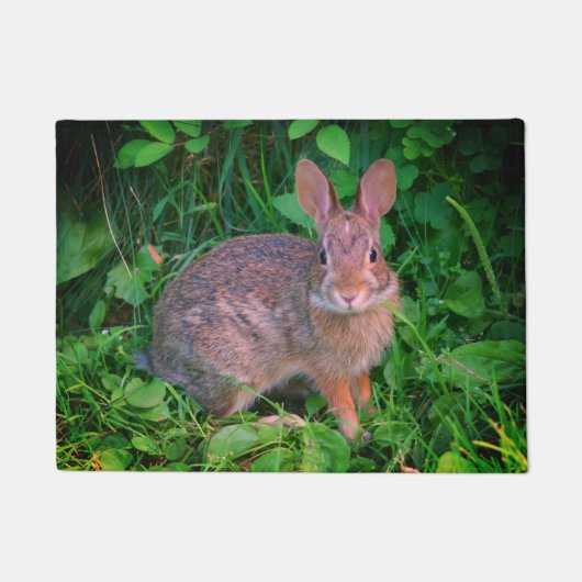 Cute Wild Brown Rabbit Wildlife Deurmat (Voorkant)