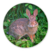 Cute Wild Brown Rabbit Wildlife Keramische Knop (Voorkant)