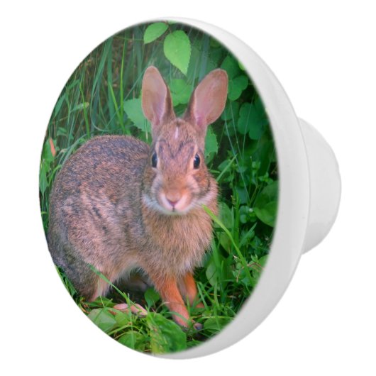 Cute Wild Brown Rabbit Wildlife Keramische Knop (Rechts)