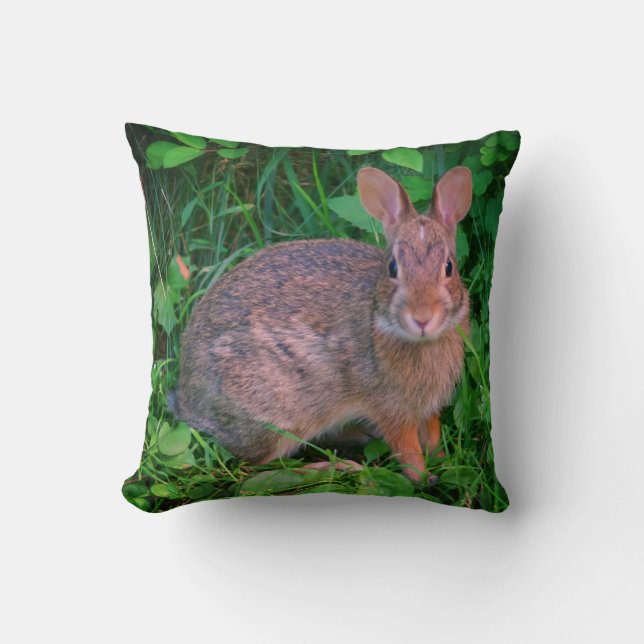 Cute Wild Brown Rabbit Wildlife Kussen (Voorkant)