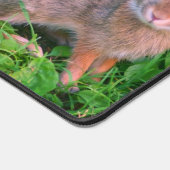 Cute Wild Brown Rabbit Wildlife Personalized Bureaumat (Hoek)