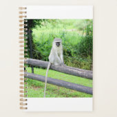 Cute Wild Monkey Animal Zuid-Afrika Planner (Voorkant)