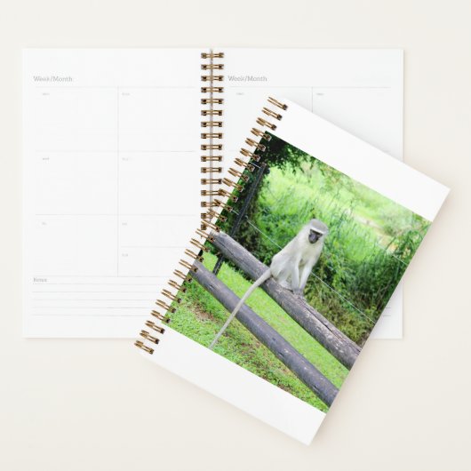Cute Wild Monkey Animal Zuid-Afrika Planner (Display)