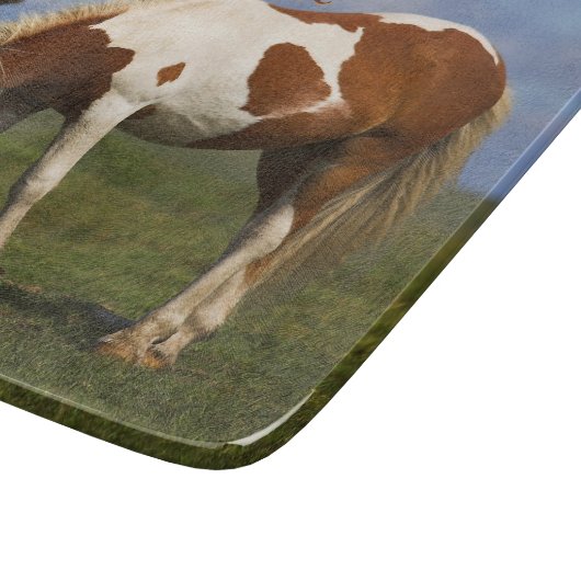 Cute Wild Pony op Dartmoor Snijplank (Hoek)