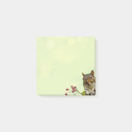 Cute Wild Squirrel on Lime Green Post-it Notes (Voorkant)