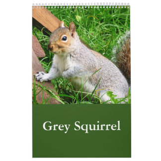 Cute Wilde Grijze Eekhoorn (UK) Agenda Kalender