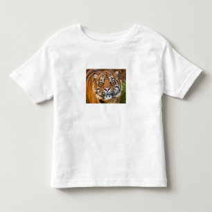 Cute Wilde Tijger Foto Peuter T-Shirt