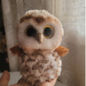 Cute Wildlife Of An Owl's Echo: Autumn's Guardian Perfect Poster