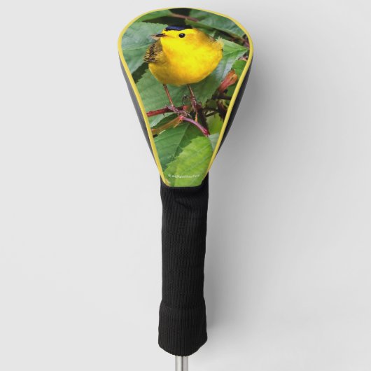 Cute Wilson's Warbler Songbird in de Cherry Tree Golfheadcover (Voorkant)