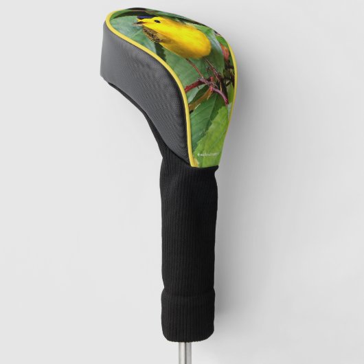 Cute Wilson's Warbler Songbird in de Cherry Tree Golfheadcover (Schuin)