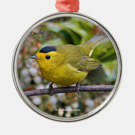 Cute Wilson's Warbler Songbird op de Grapevine Metalen Ornament