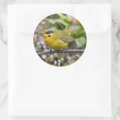 Cute Wilson's Warbler Songbird op de Grapevine Ronde Sticker (Tas)
